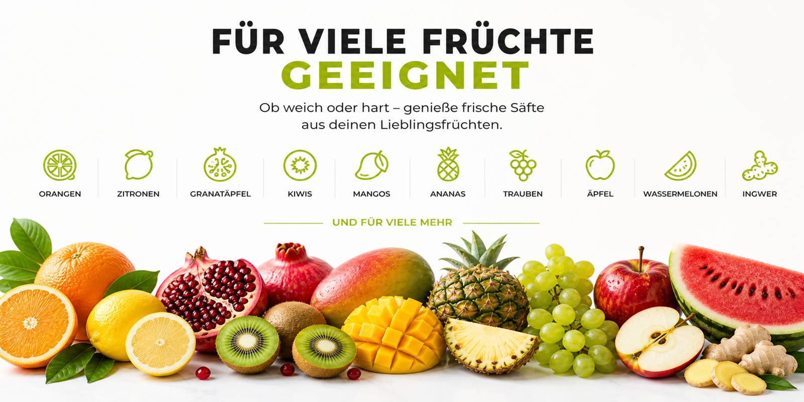 Shakin Juicer für viele Früchte geeignet